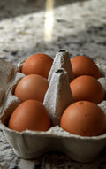 Taylor's Pastures - 100% Pasture Raised - Pullet Eggs