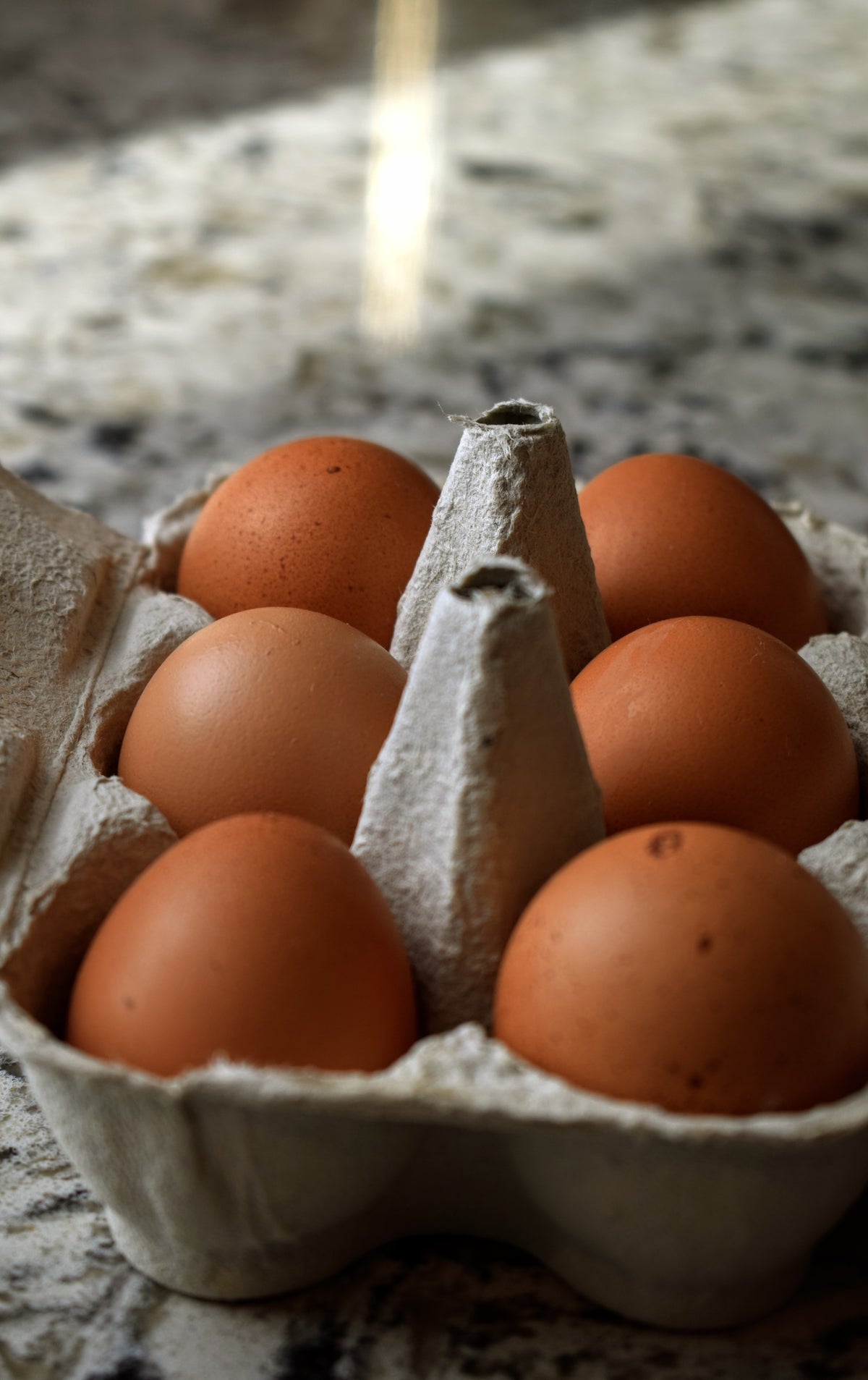 Taylor's Pastures - 100% Pasture Raised - Pullet Eggs