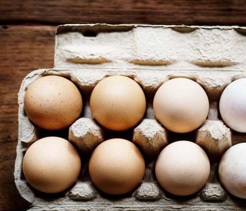 Taylor's Pasture- Pasture-Raised, Farm Fresh Eggs